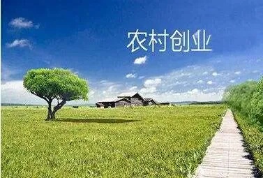 农村创业新思路，如何利用现代科技和传统知识赚钱