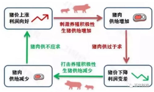 在家创业，101个赚钱项目，让你的闲暇时间更有价值