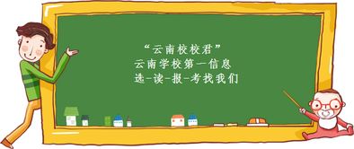 大专毕业后的职业选择，不仅仅是赚钱，更是实现人生价值的关键