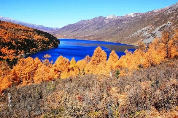 川西出行，探索与赚钱的双重盛宴