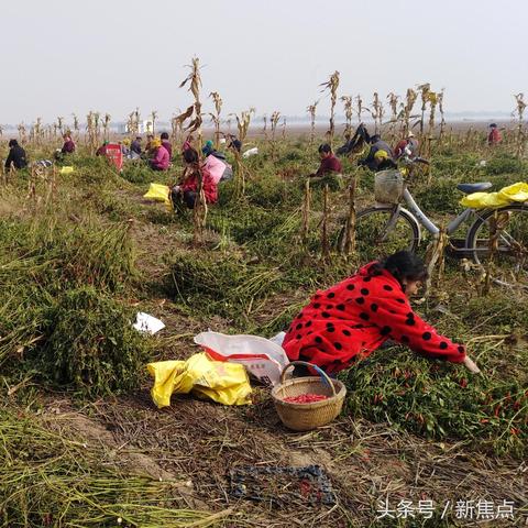 在家做什么不赚钱 在家做什么能挣大钱