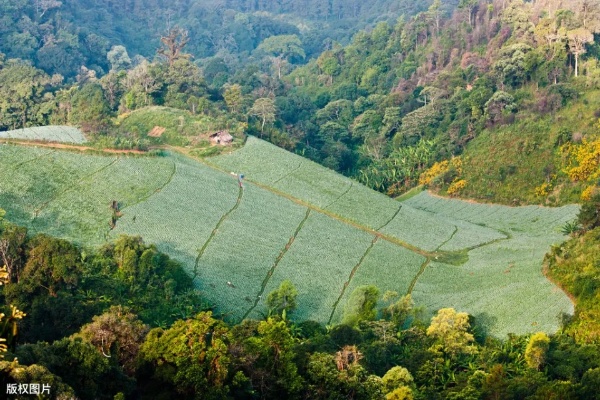 家有山地，如何赚得财富？