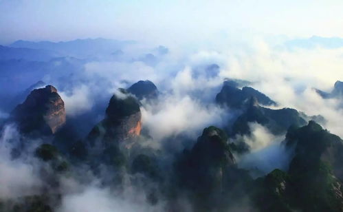 探秘天山生物，揭秘神秘的高山生态系统如何创造财富