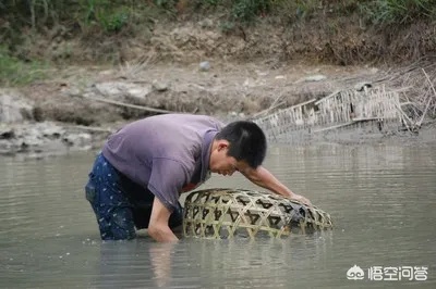 在水里做什么能赚钱？