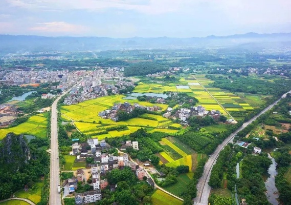 阳春市赚钱秘籍，探寻当地特色产业与商业机遇