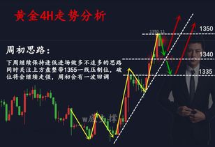 贸易战中掘金，如何选择快速盈利的贸易项目