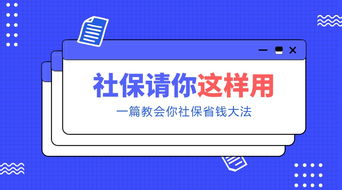 账号运营新思路，如何通过多元化策略实现高效盈利？