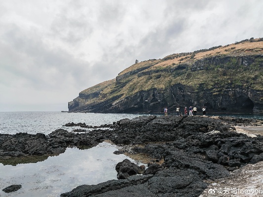 济州岛旅游资源丰富，吸引了大量的游客前来观光。那么在济州岛做什么赚钱呢？以下是一些适合在济州岛从事的赚钱项目，供大家参考。