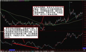 揭秘股市投资秘籍，如何在股市中稳健赚取收益？