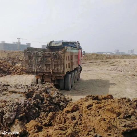 大量空地做什么赚钱 空地怎么利用能赚钱