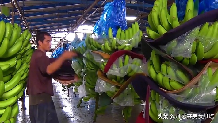 香蕉做什么生意赚钱 香蕉厂做什么的