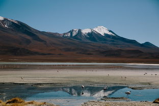 海边旅游景区做什么生意赚钱