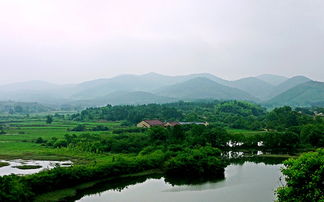 农村创业项目，东北地区致富新门路