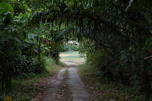 穿越时光隧道，探索古代最赚钱的行业