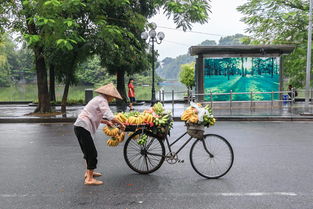 从军归来，新兵的职业道路与赚钱途径