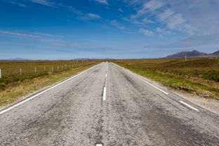 掌握未来，探索养殖业的职业道路和前景