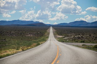 掌握未来，探索养殖业的职业道路和前景