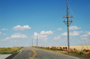 道路代理，为交通安全保驾护航的工作