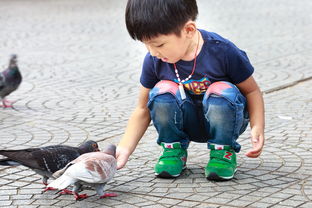 幼师助教，为孩子们的快乐成长保驾护航