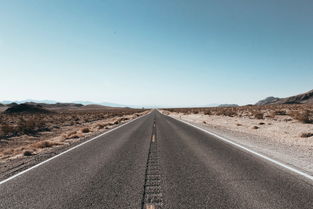 教师转行就业选择，多元化的职业道路