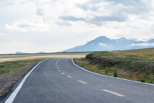 探索职场稳定之道——选择适合自己的职业道路