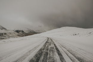 探索职场稳定之道——选择适合自己的职业道路